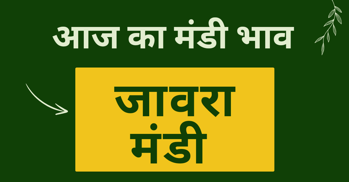 Jaora Mandi Bhav 