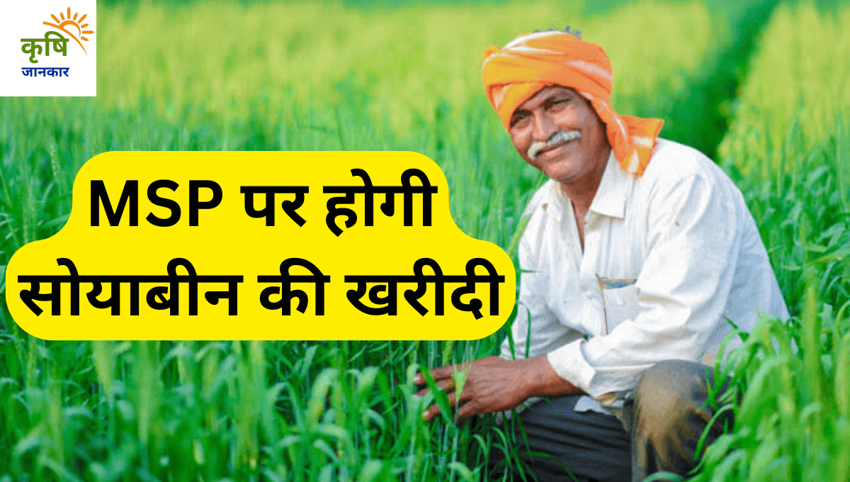 E uparjan soybean msp 