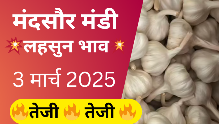 Mandsaur mandi lahsun bhav 3 March 2025