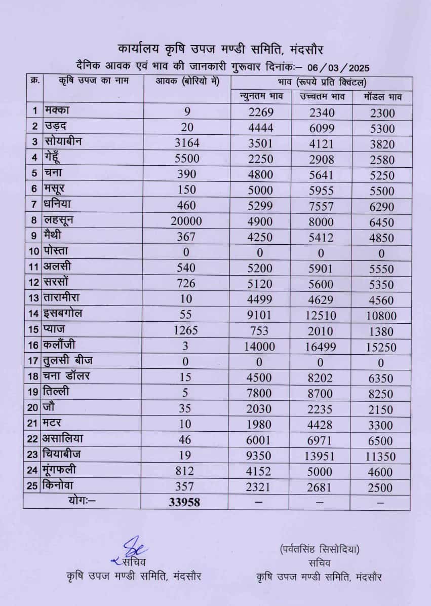 Mandsaur mandi bhav 6 March 2025