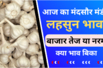 Mandsaur Mandi Lahsun bhav